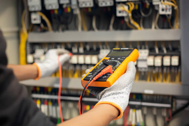 Best Electrical Panel Upgrades  in Lake Bluff, IL